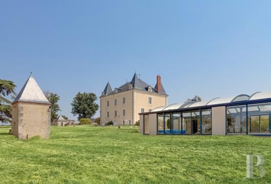 poitou-charentes - Dans l'est de la Vienne, dans un parc de près de 3 ha, une demeure du 19e s. entièrement rénovée, ses dépendances et sa piscine intérieure